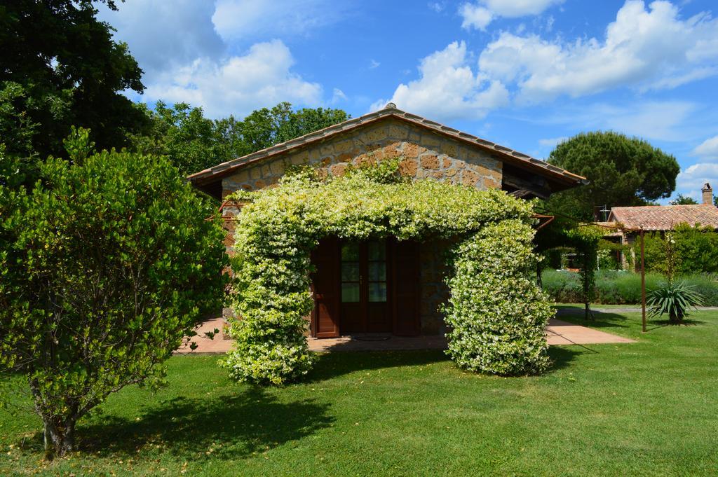 Agriturismo Eco-Bio Villa Vacasio Pitigliano Exterior foto
